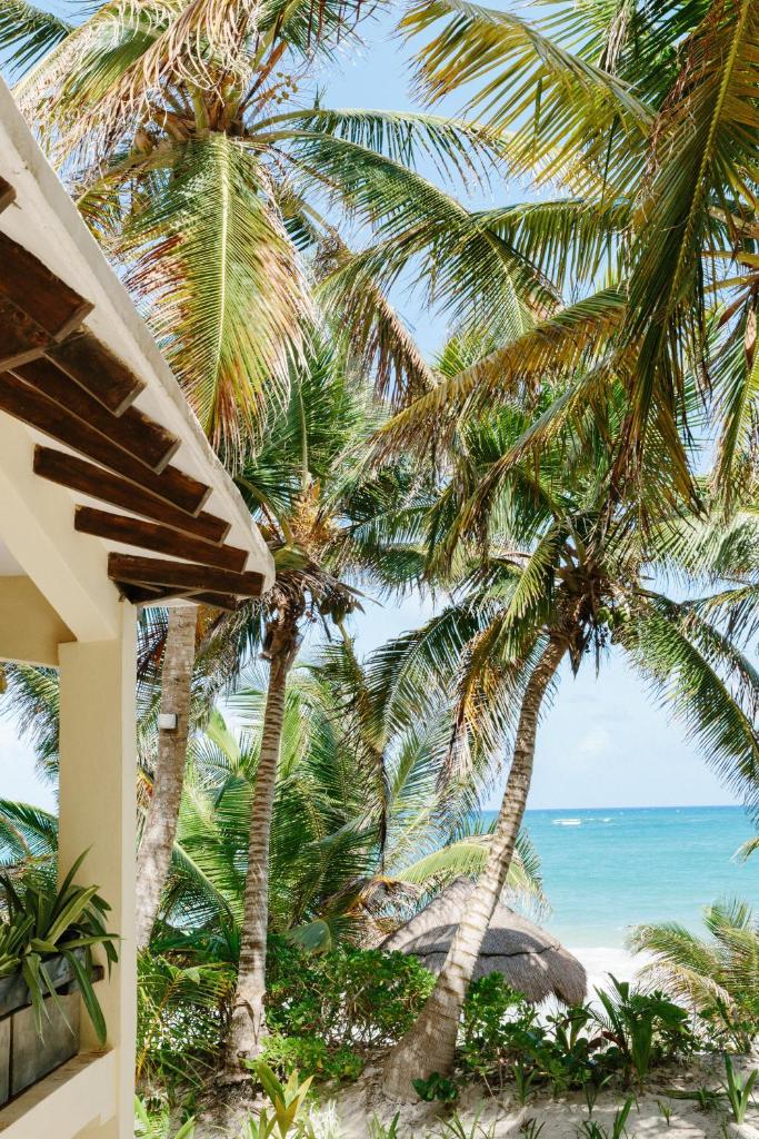Olas Tulum photo 2