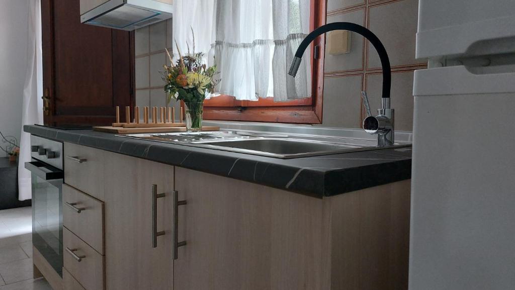 Alexandra Apartments photo 4