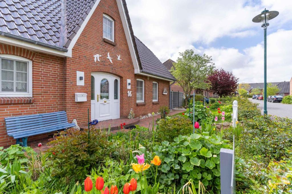 Haus-Sturmschwalbe photo 1