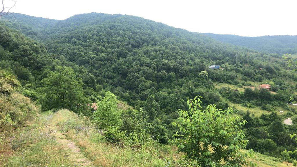 Tarihi Karadeniz Evi photo 1