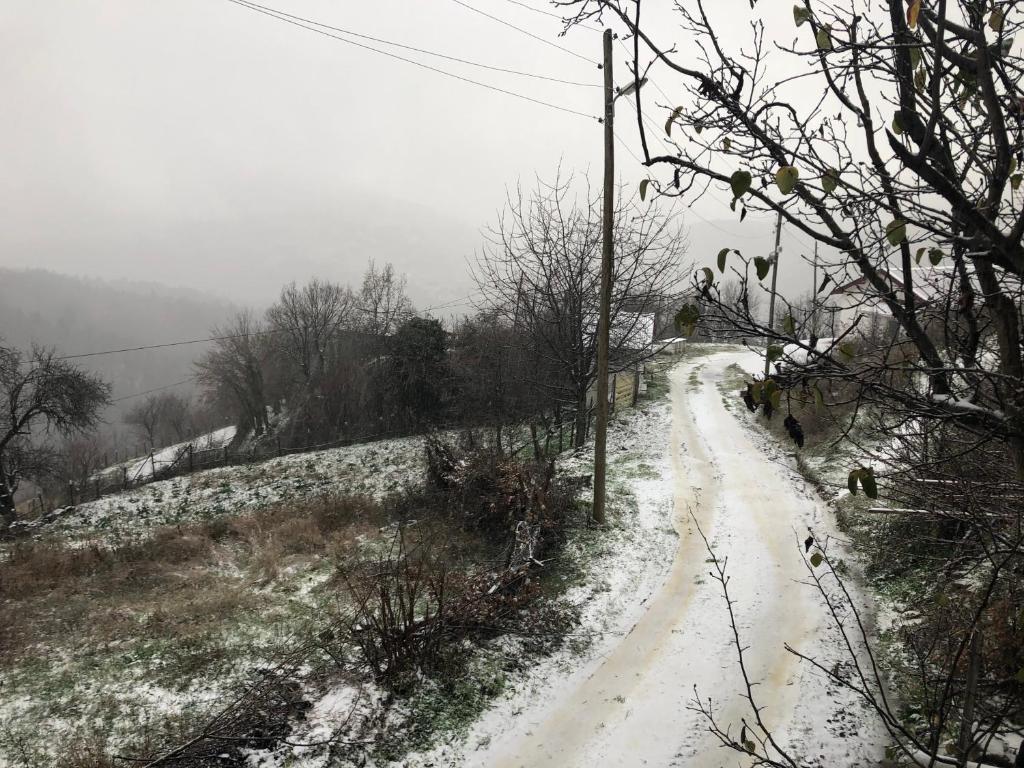 Tarihi Karadeniz Evi photo 2