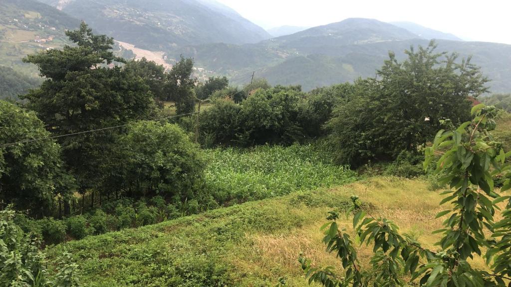 Tarihi Karadeniz Evi photo 4
