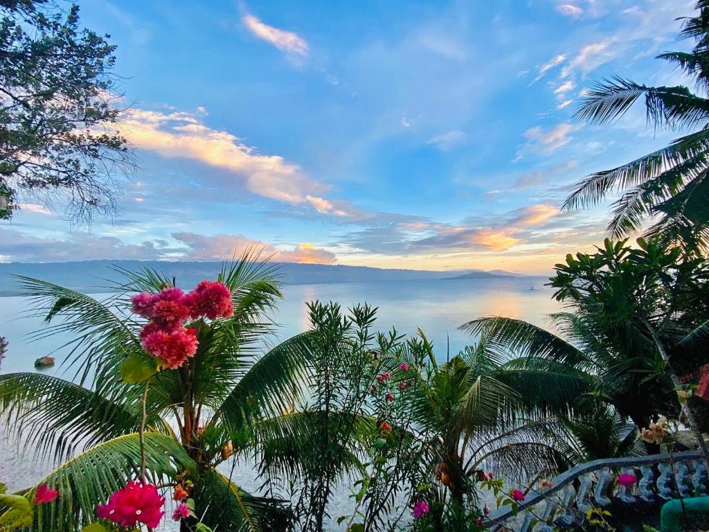 La Concepcion Cove Garden Resort photo 4