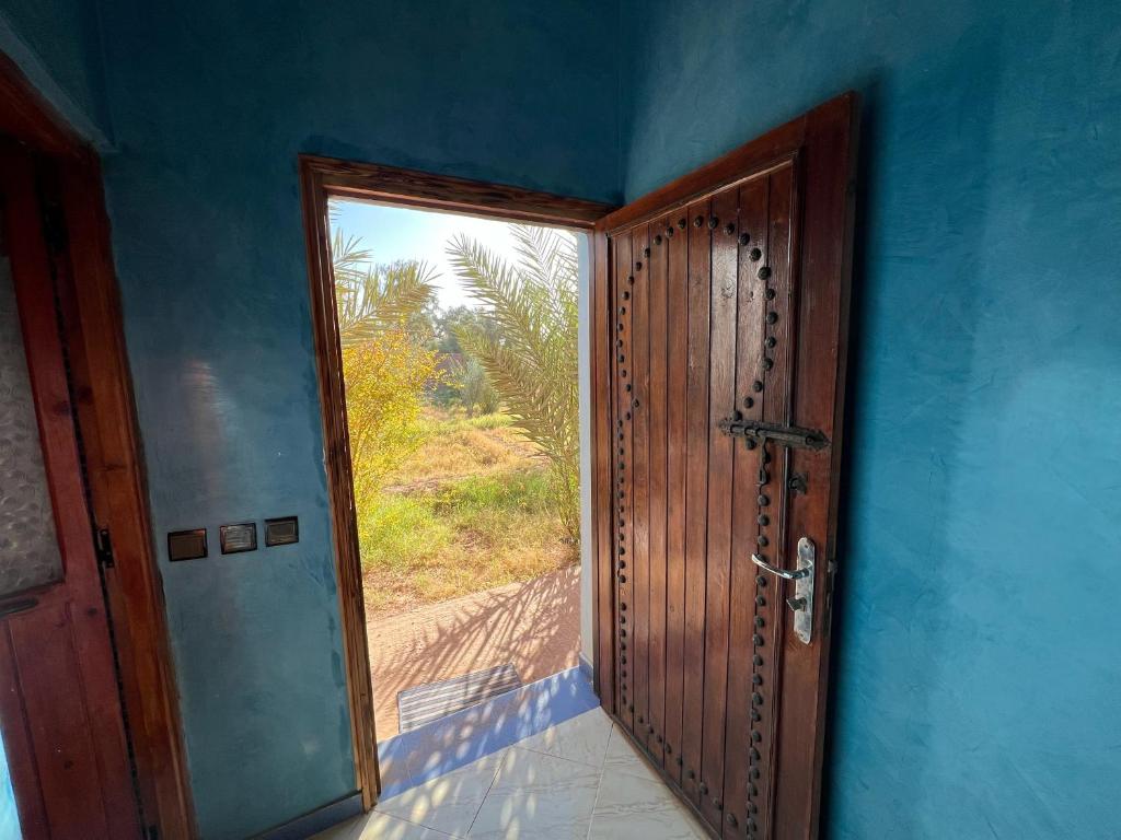 jardin du desert photo 4