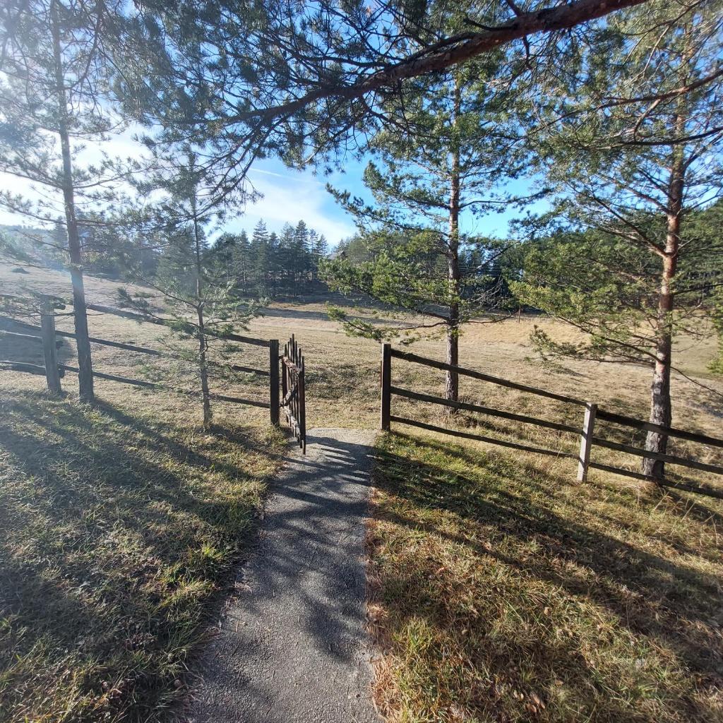 Planinska kućica Svetlana Zlatibor photo 4