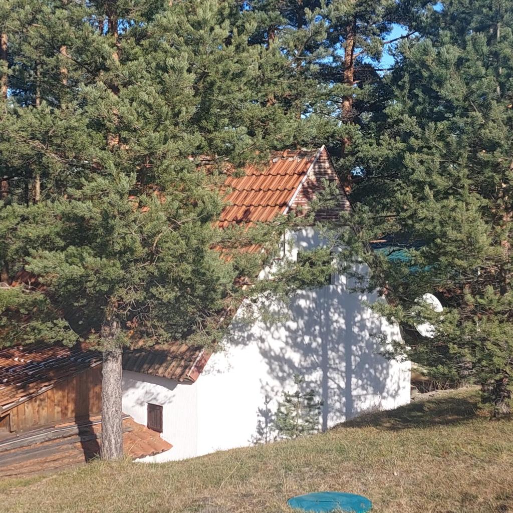 Planinska kućica Svetlana Zlatibor