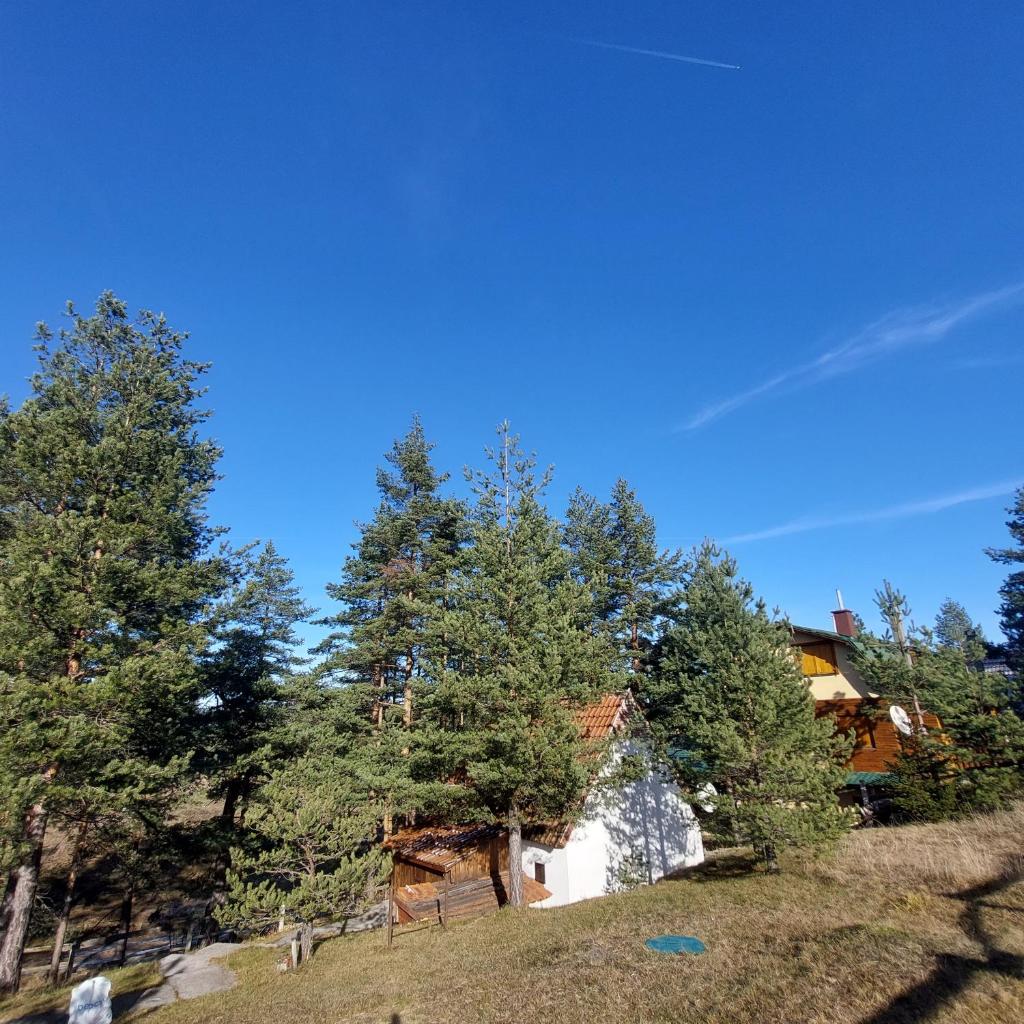 Planinska kućica Svetlana Zlatibor photo 3
