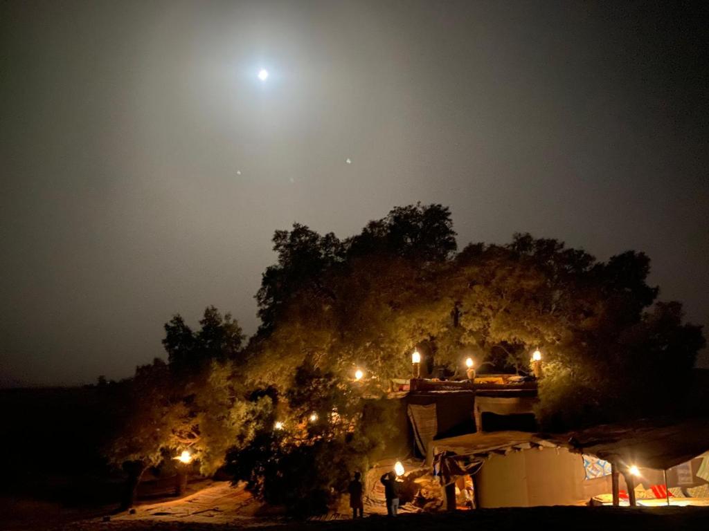 Tamaris Camp