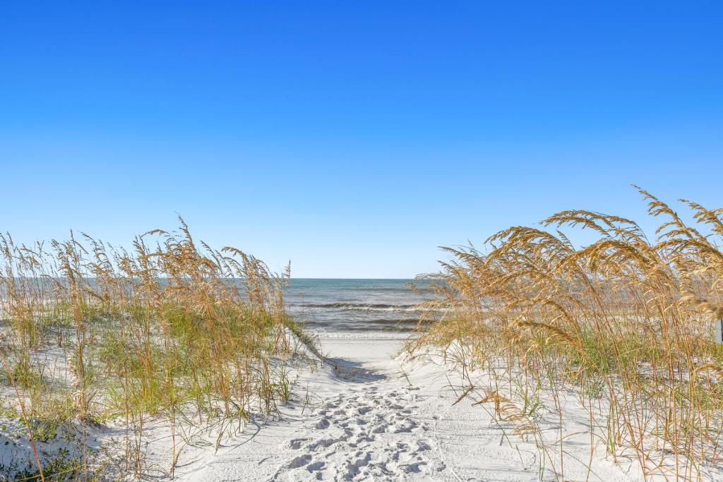Beachy Dreams photo 2