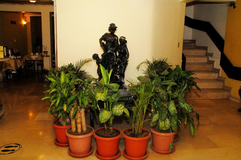 Colony Inn Hotel photo 2