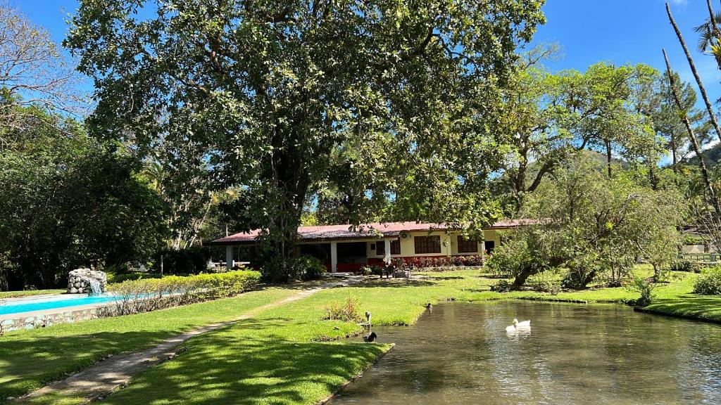 La Casa de los Patos photo 3