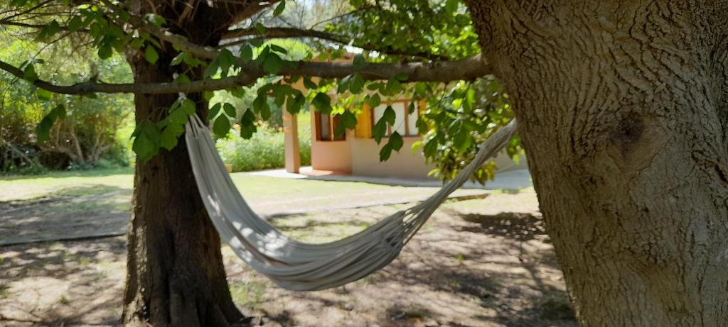La Sureña photo 1