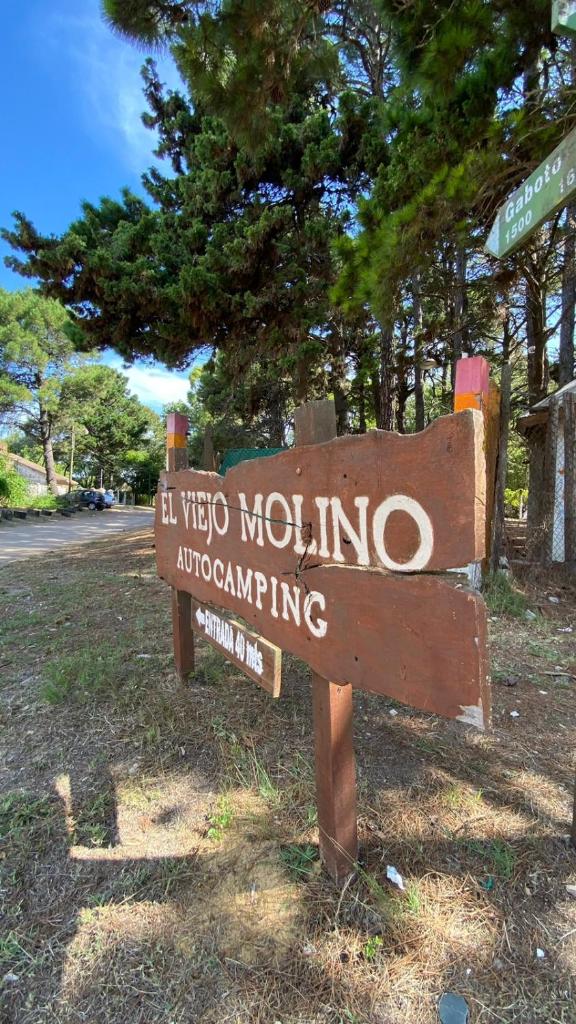 El Viejo Molino photo 3