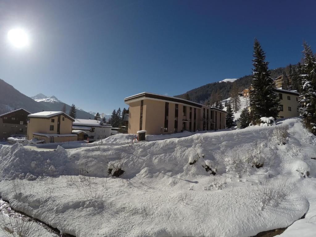 Alberti 5 photo 4