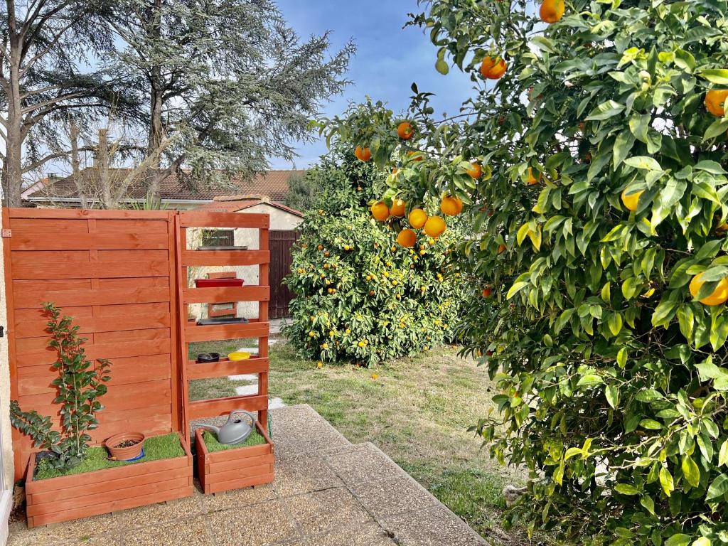 Les orangers - Villa catalane avec Jacuzzi photo 3