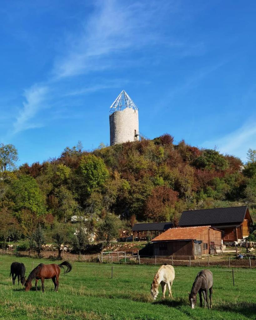 Koliba 30svibnja photo 2