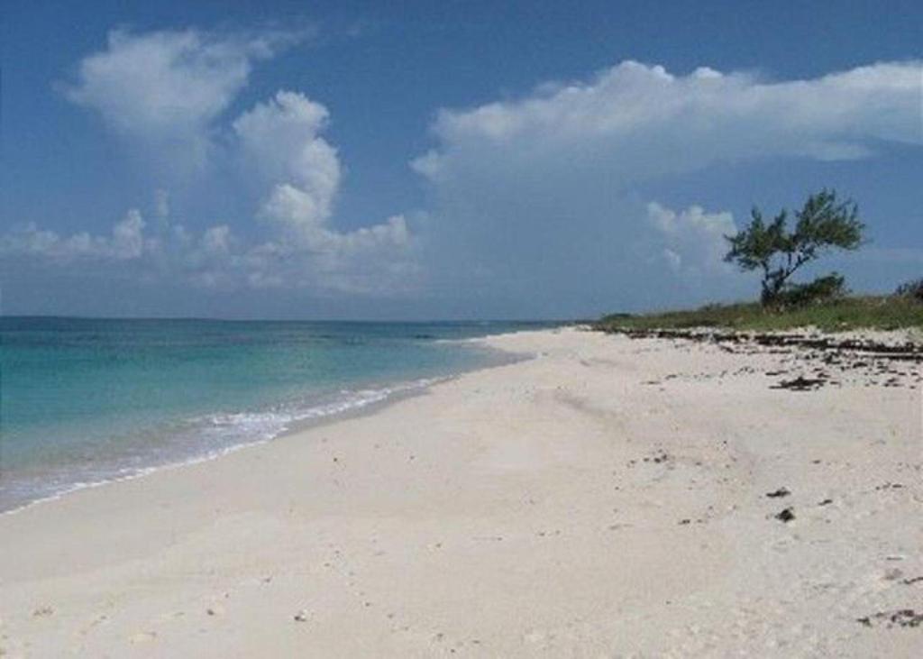 Buttonwood Reserve by Eleuthera Vacation Rentals photo 2