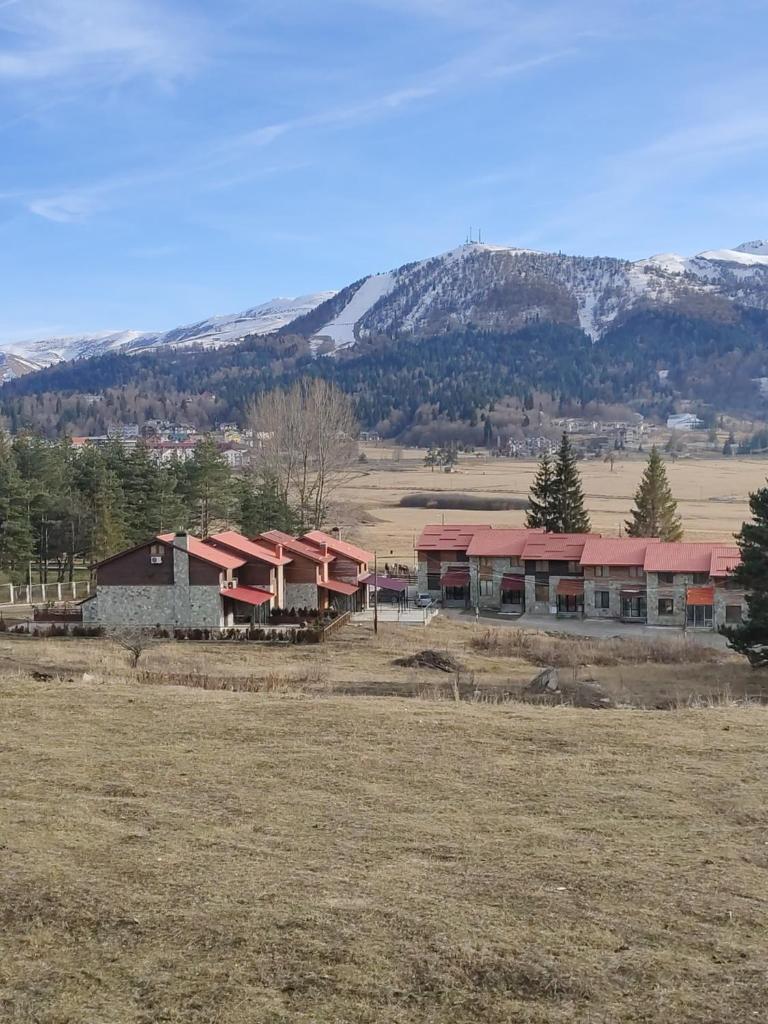 Bakuriani Vila Monte photo 2