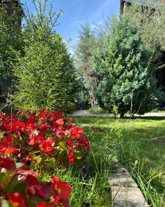 Green Villa Brezovica photo 2