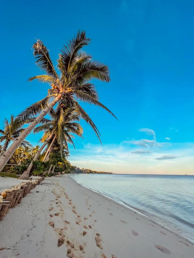 Retreat Siargao Resort photo 3