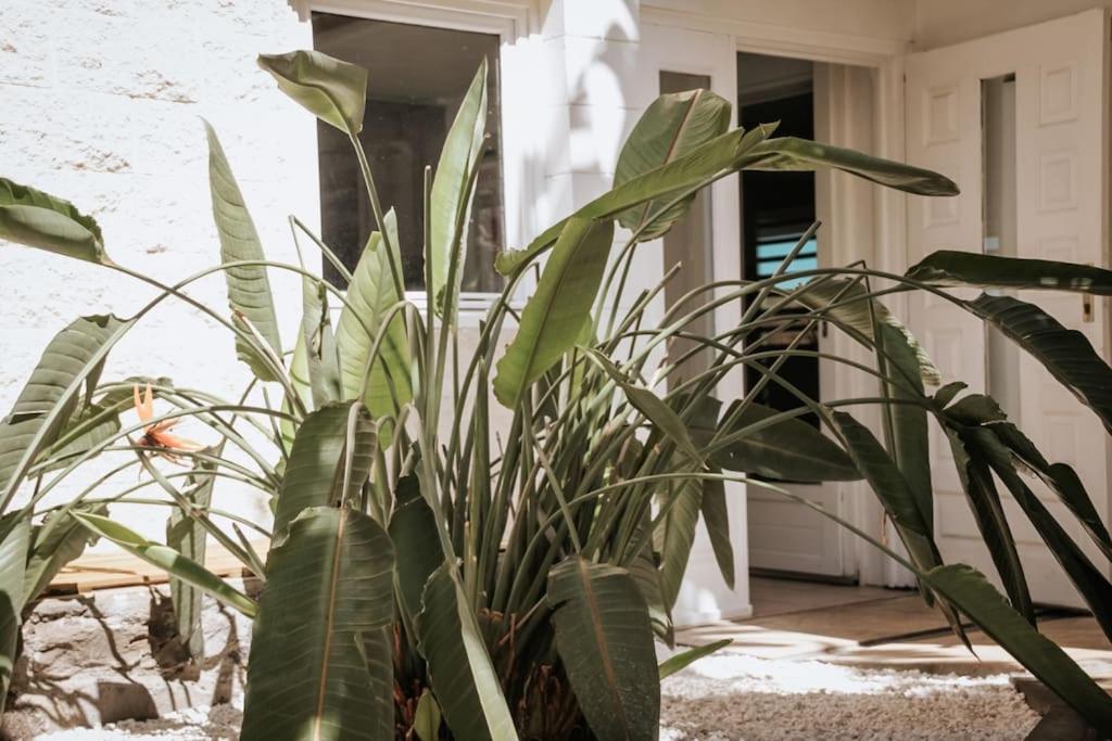 Ti Perchoir, Appartement, piscine privée et vue mer à St-Leu photo 1
