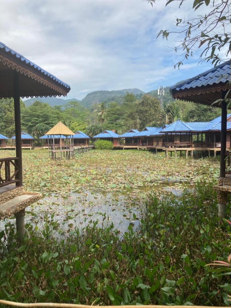 Blue Resort photo 2