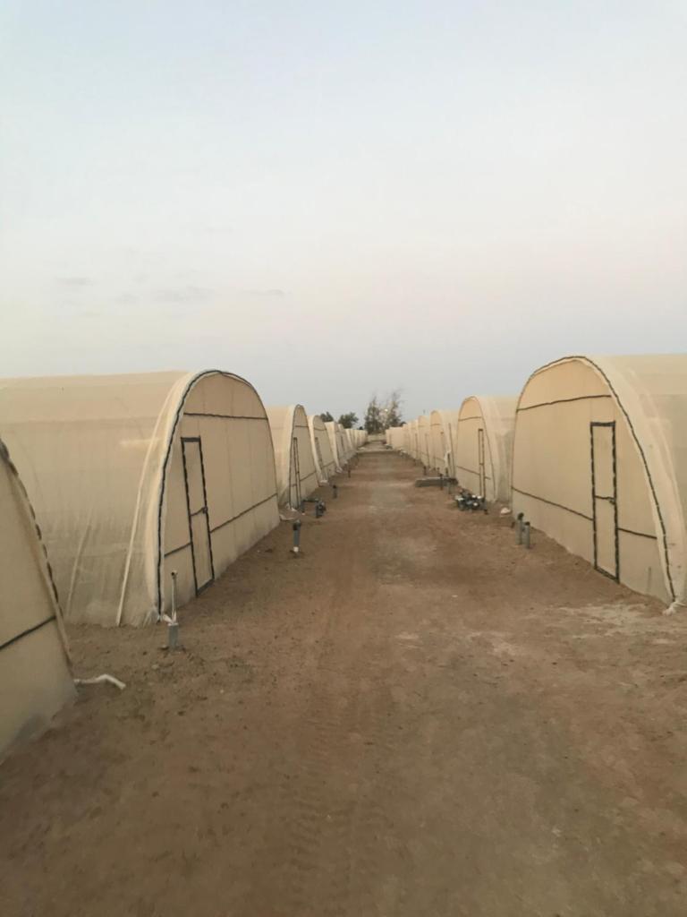 Safadi Farm photo 1