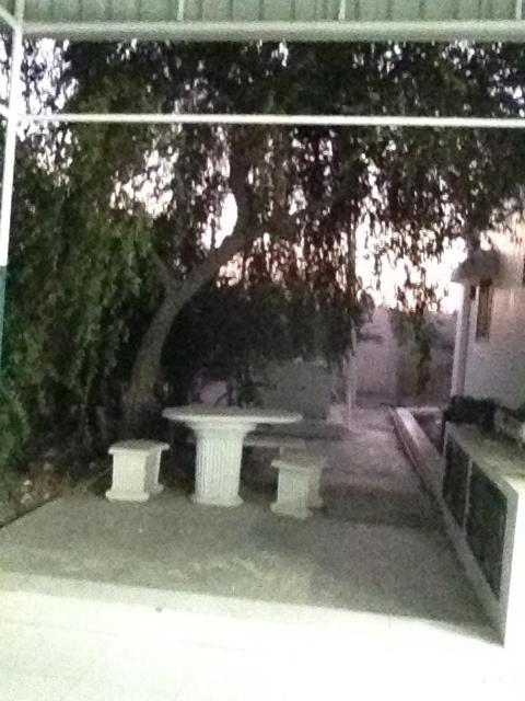 Safadi Farm photo 4