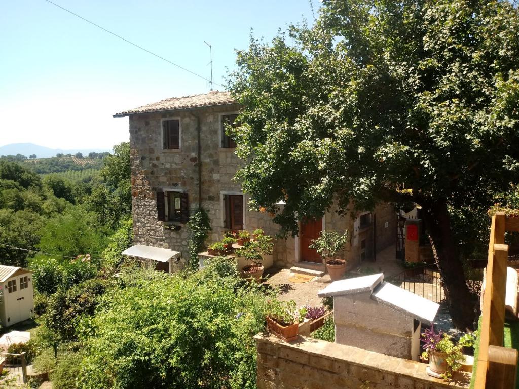 Stunning 1-Bed House in Castel Cellesi Italy photo 2