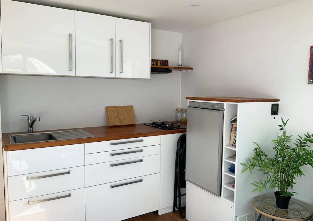 Bateau appartement sur l'Erdre au coeur de Nantes photo 3