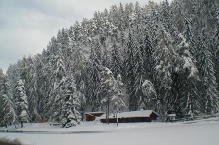 Appartamenti da Oscar photo 1