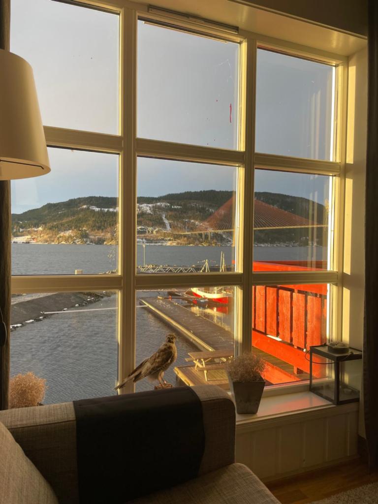 Spacious apartment with view over the trondheimfjord photo 2