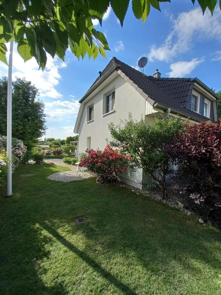Haus-Am-See-Pratzschwitz photo 3