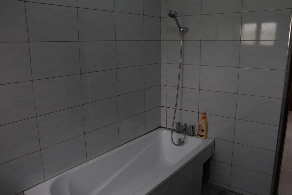Lake View Oasis, Villa and Holiday Home photo 3