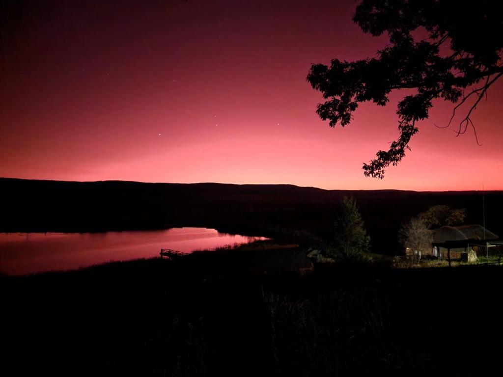 Reedbuck Lodge photo 1
