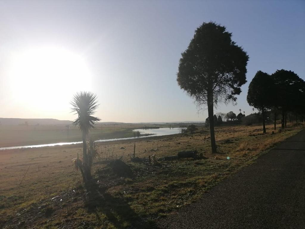 Reedbuck Lodge photo 3