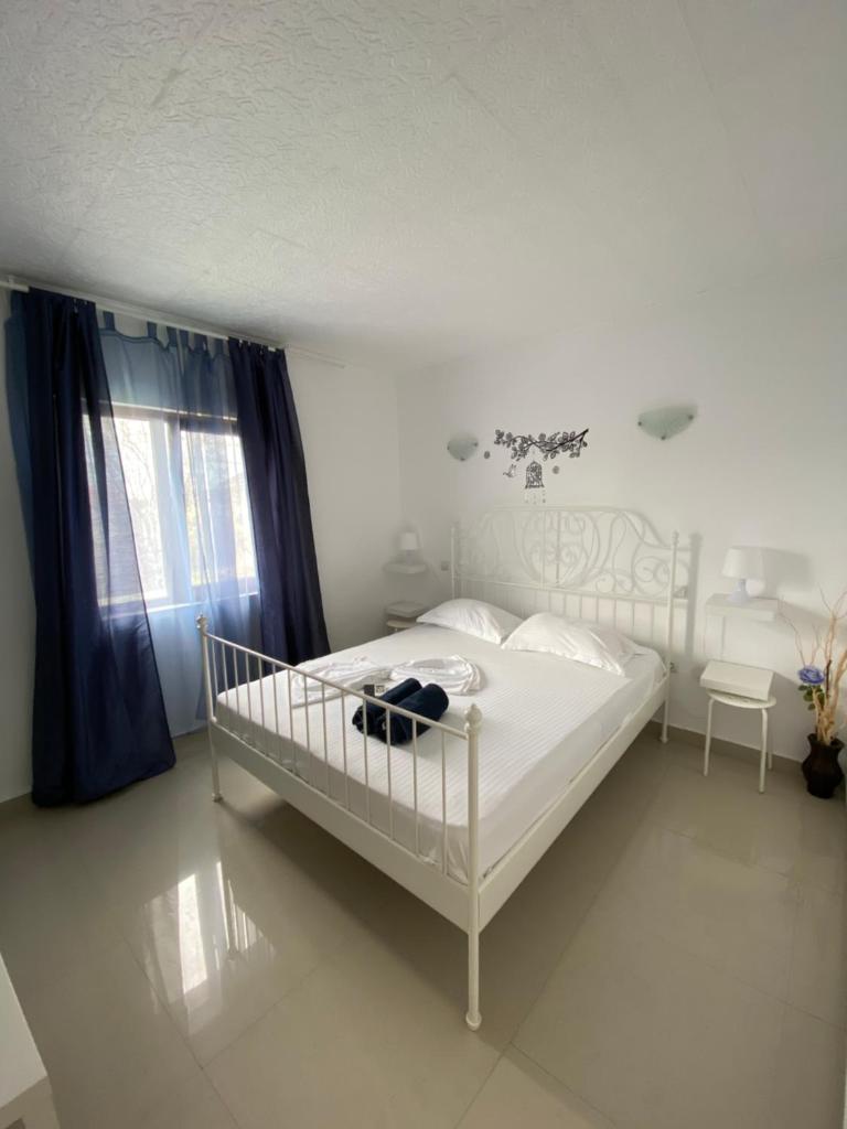 Vila Fifi Costinesti photo 1