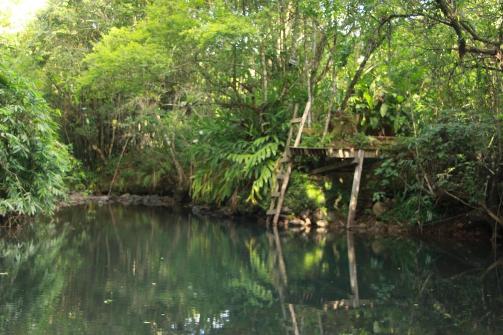 Casa de Campo - Sítio da tia Vera photo 4