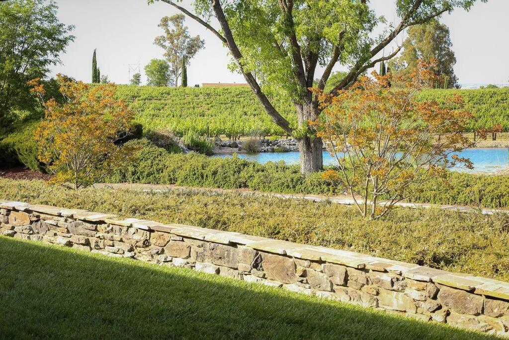 Vineyard House at Bianchi Winery photo 2