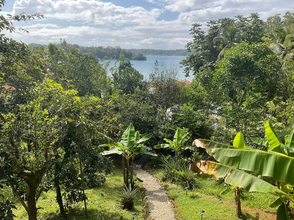 Pretty house Bastimentos Bocas del toro photo 4
