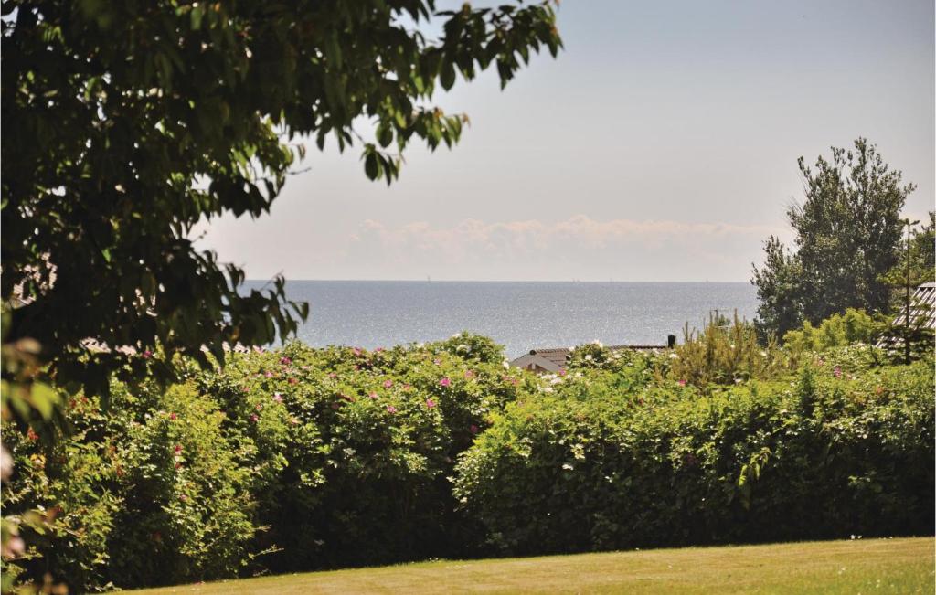Amazing Home In Sydals With 3 Bedrooms, Sauna And Wifi photo 3