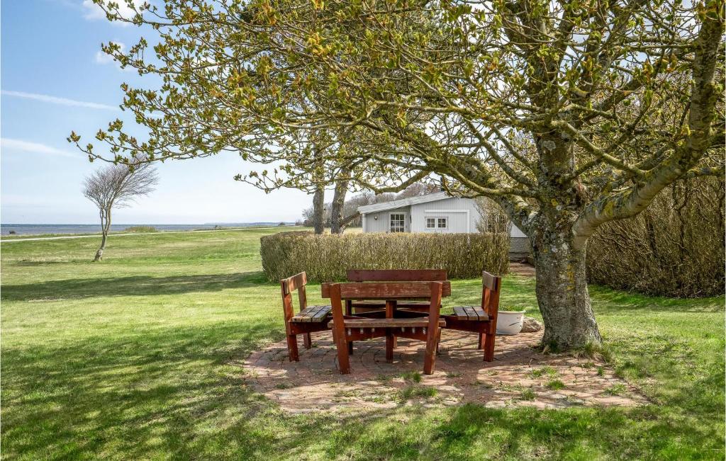 Amazing Home In Allingbro With 2 Bedrooms And Wifi photo 4