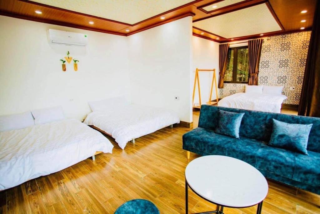 Thanh Tu Homestay - Venue Travel