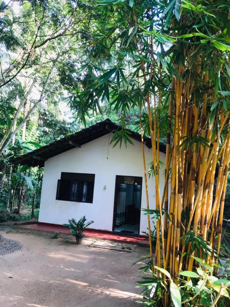 CINNAMON LAKE VILLA photo 3