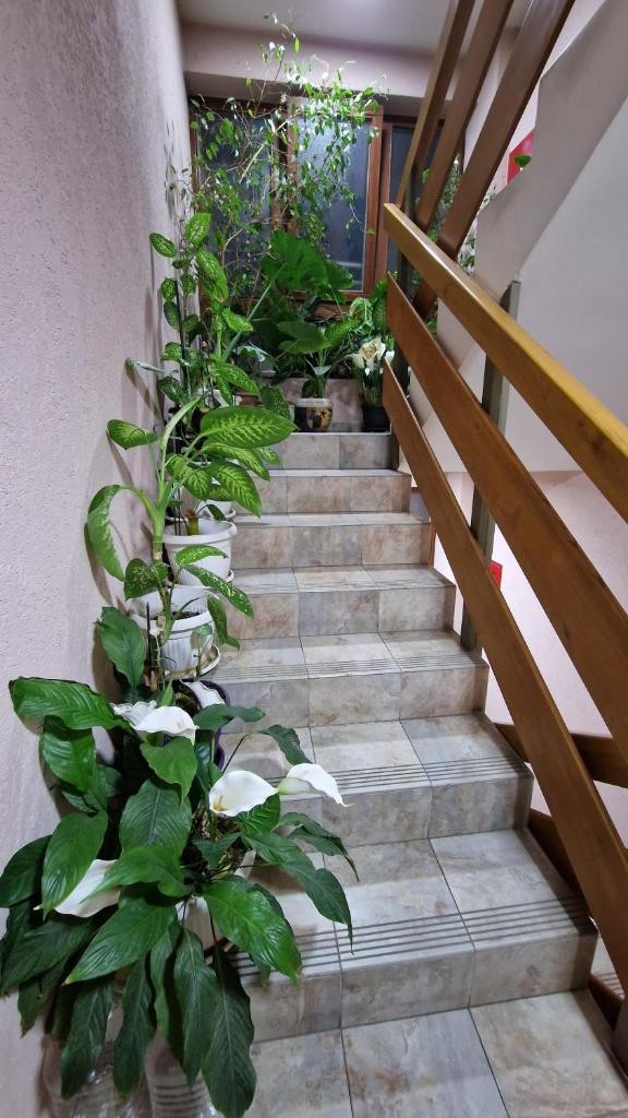 Apartman Candy photo 2