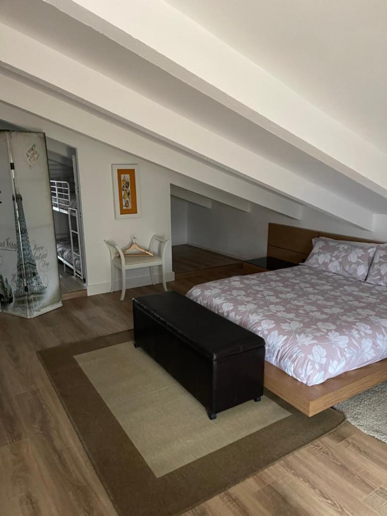 Attic Nature en Albacete photo 4