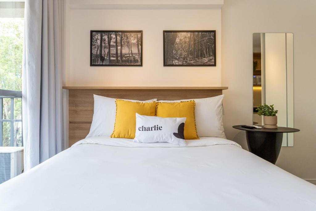 Smart Charlie Parque Augusta Mackenzie