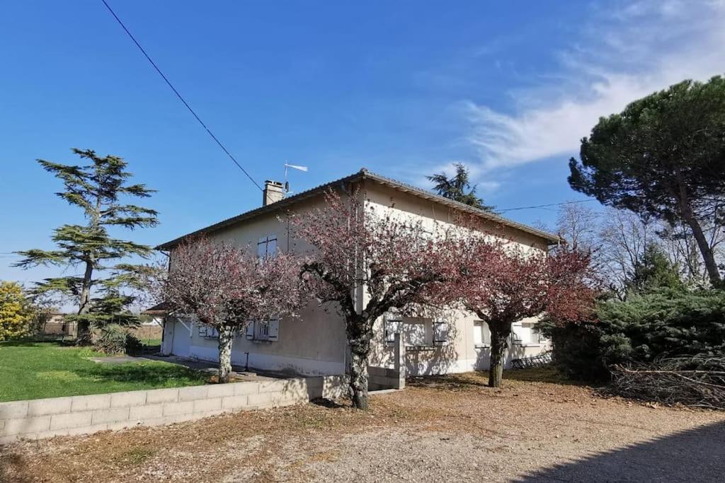 Maison Gaillacoise photo 2