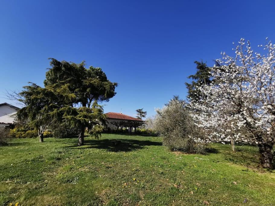 Maison Gaillacoise photo 4