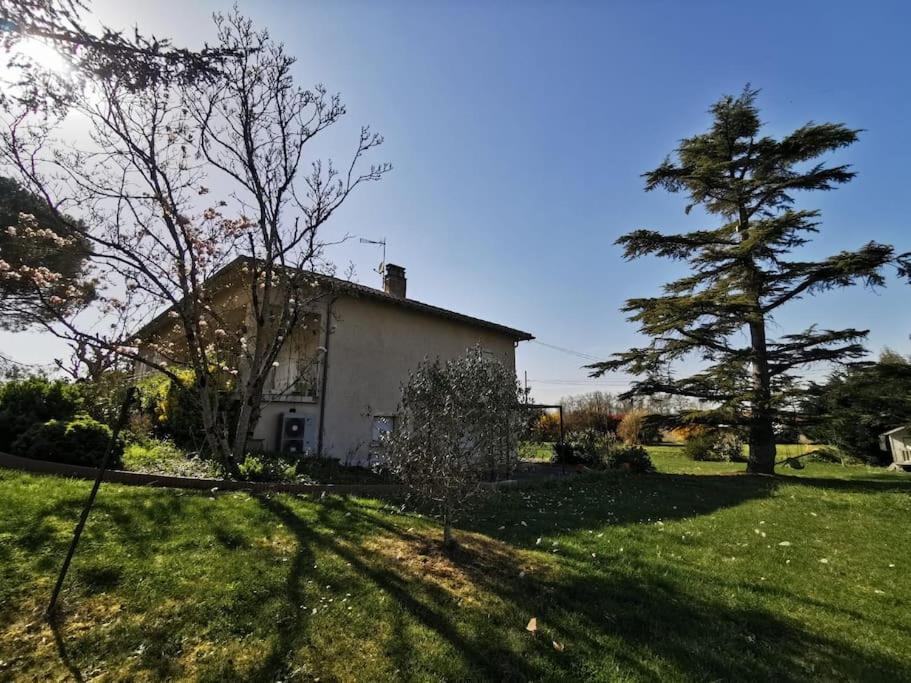 Maison Gaillacoise photo 3